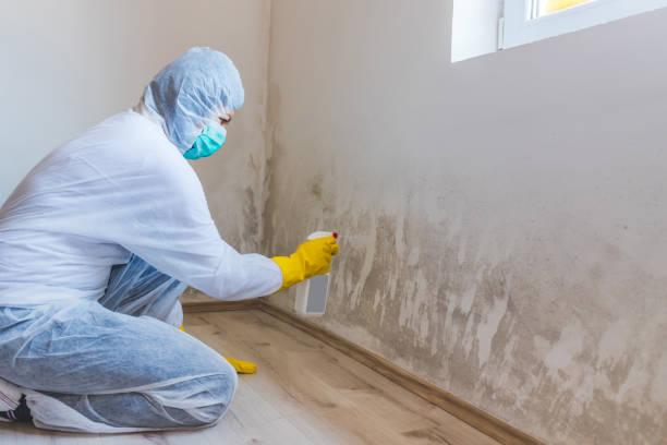Licensed Bathroom Mold Removal service in Thorndale, PA - WQB Mold Removal
