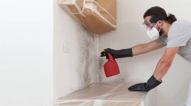 Professional Bathroom Mold Removal technician working in Thorndale, PA