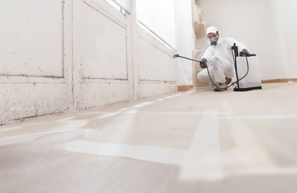 24/7 Emergency Bathroom Mold Removal experts in Thorndale, PA