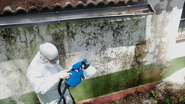 Top rated local Bathroom Mold Removal specialists in Thorndale, PA